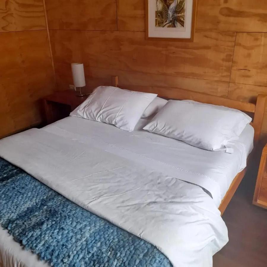 Hostal Palafito Waiwen 卡斯特鲁 外观 照片